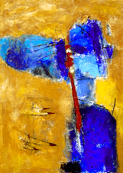 dragonfly in the sun